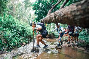 BIB: 
                            <button type="button" onclick="openModal(25372383)" class="btn btn-primary btn-sm float-right btn-popup" data-toggle="modal" data-target=".modal-high-quality">
                        <i class="fas fa-shopping-cart"></i> Add to Cart
                    </button>
                                            <button type="button" onclick="isThisMe(25372383, true)" class="btn btn-success btn-sm float-right btn-popup btn-isme hidden" data-toggle="tooltip" data-placement="bottom" title="นี่คือรูปของคุณใช่ไหม คลิกที่นี่เพื่อเอาเข้าอัลบั้ม">
                        <i class="fas fa-plus"></i> Add to album
                    </button>
                    <button type="button" onclick="isThisMe(25372383, false)" class="btn btn-warning btn-sm float-right btn-popup btn-isnotme hidden">
                        <i class="fas fa-ban"></i> Remove from album
                    </button>